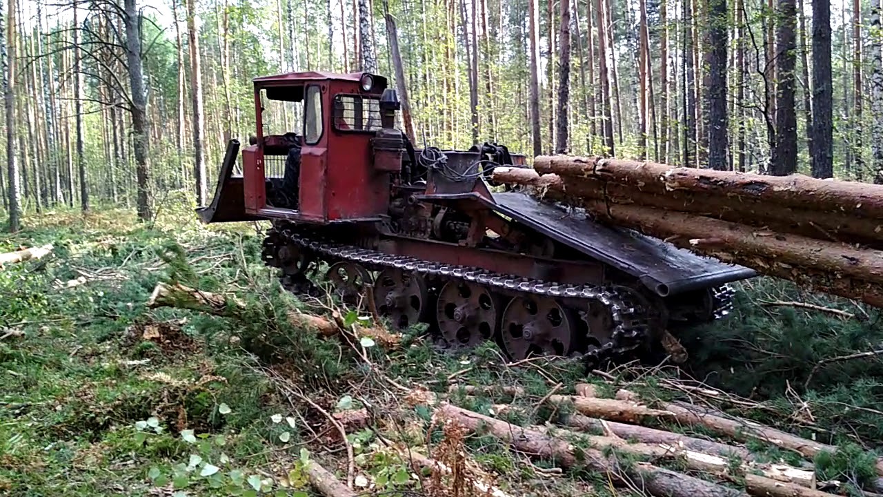 Бесчокерный трелевочный трактор: Революция в лесной промышленности